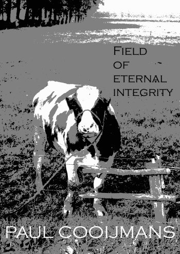 Field of eternal integrity